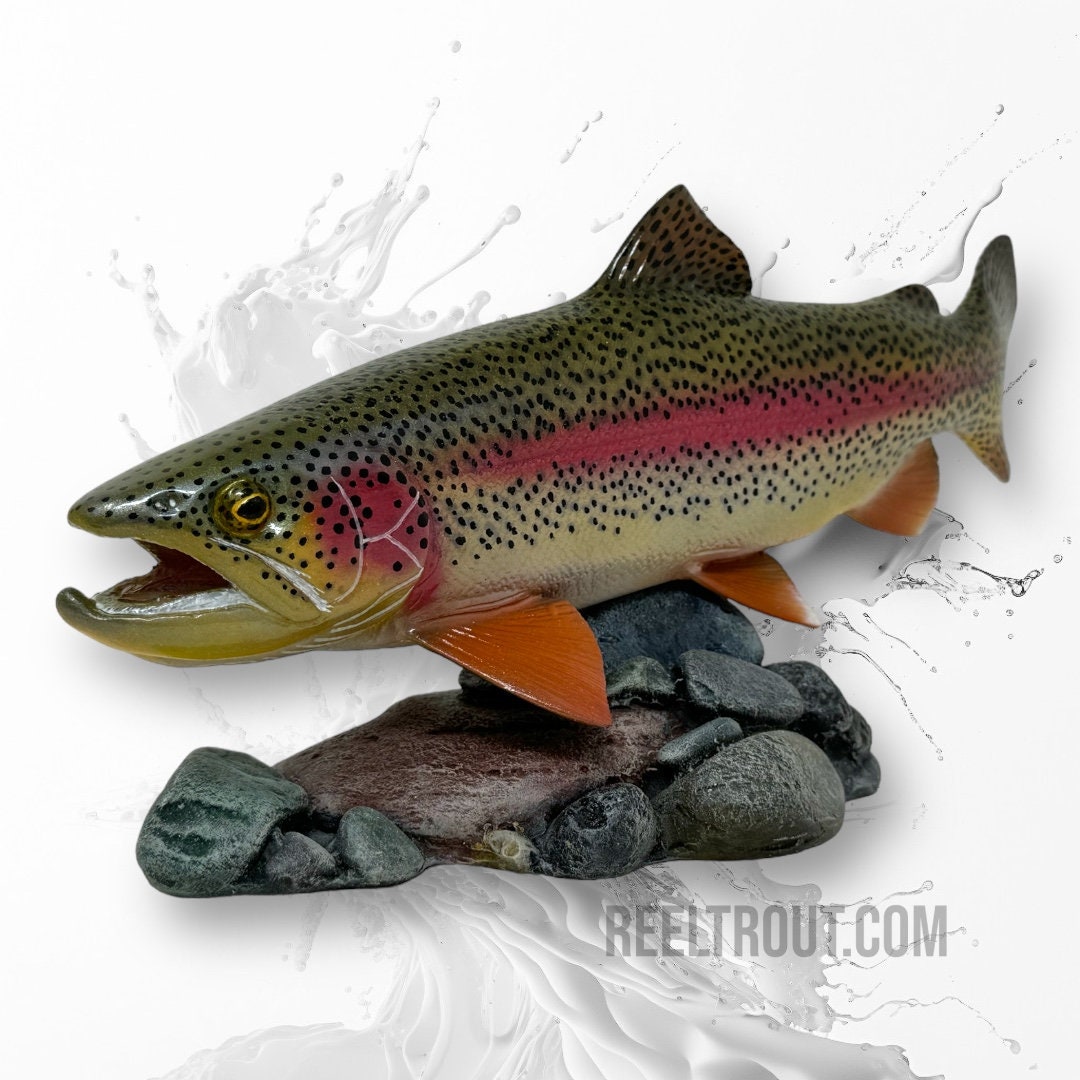 Choice of Trout Sculpture Fishing, Flyfishing, Fly Tying, Taxidermy, Art,  Rainbow Brown Golden Cutthroat Brook, Home Decor 