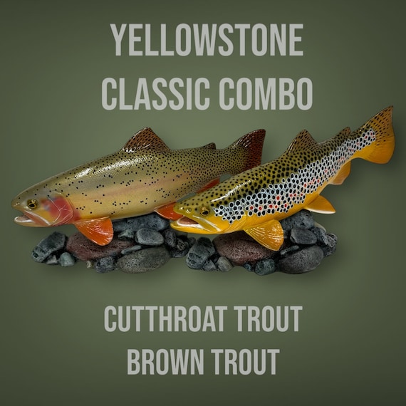 Rainbow Golden Brook Trout T-Shirt Fishing Gift For Anglers Rainbow Golden Brook Trout T-Shirt Fishing Gift For Anglers