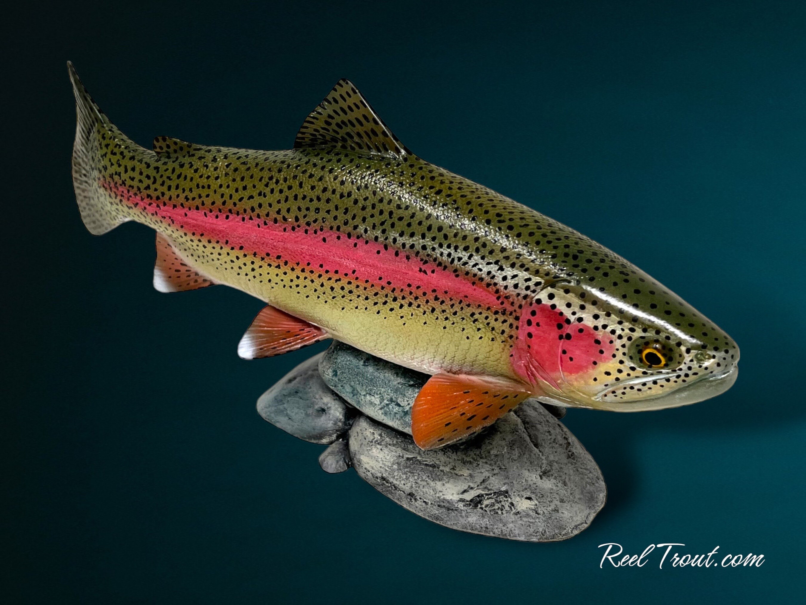 Brook Trout Carving -  Canada