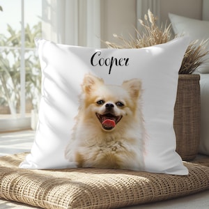Custom Pet Photo Pillow: Personalized Dog Cat Memorial Cushion