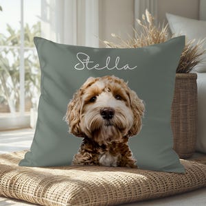 Custom Pet Photo Pillow: Personalized Dog/Cat Memorial Keepsake