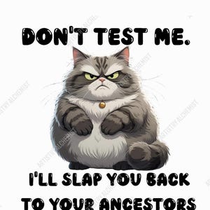 Mürrische Katze PNG | Lustige Katze PNG | Sarkastische Katze PNG | Lustige Zitate Clipart | Sarkastische Zitate Clipart | Lustige Katze Clipart |