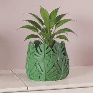 Puede incluir: Una planta verde en una maceta decorativa. La maceta es de color verde claro y presenta un diseño de hojas repetidas. La planta tiene hojas grandes y verdes y está colocada sobre una superficie blanca.