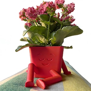 Puede incluir: Una maceta roja sonriente con patas adjuntas, que contiene una planta floreciente con flores rosas y hojas verdes. La maceta descansa sobre una toalla a rayas. La maceta tiene una cara con los ojos cerrados y una boca sonriente.