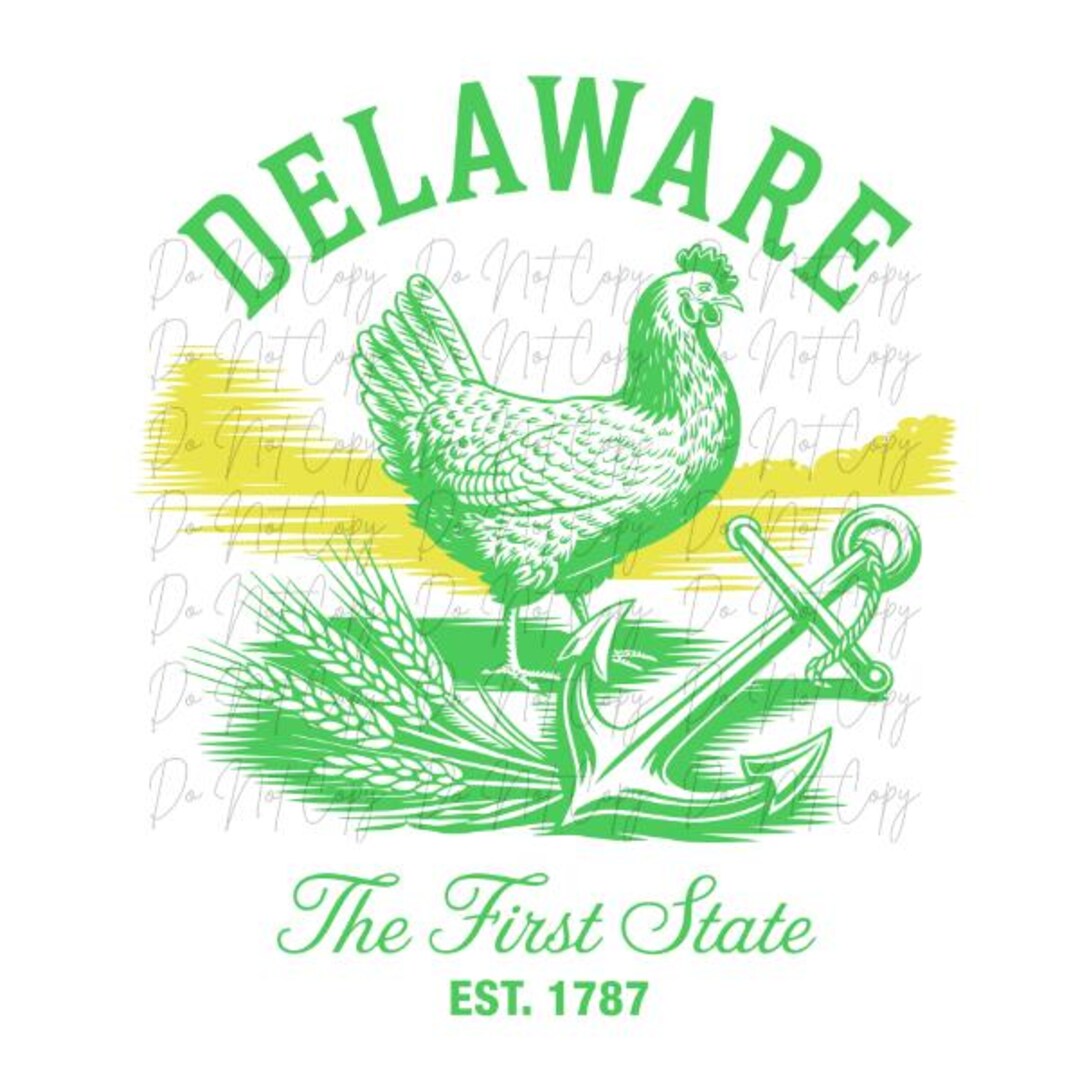 Delaware, the First State, Delaware Transfer, DTF, Iron on Ready to ...