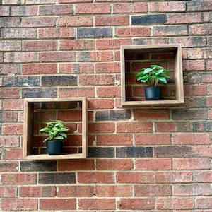May include: Two square wooden wall shelves, each holding a small potted plant with green leaves. The shelves are mounted on a red brick wall. The plants have dark blue pots.