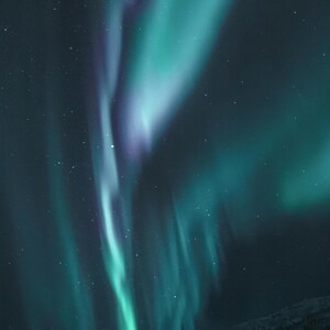 May include: A photograph of the aurora borealis, showcasing vibrant green and blue light streaks across a dark, starry sky. The celestial display appears to dance and swirl, with hints of purple. A small, dark silhouette of a tree is visible at the bottom.