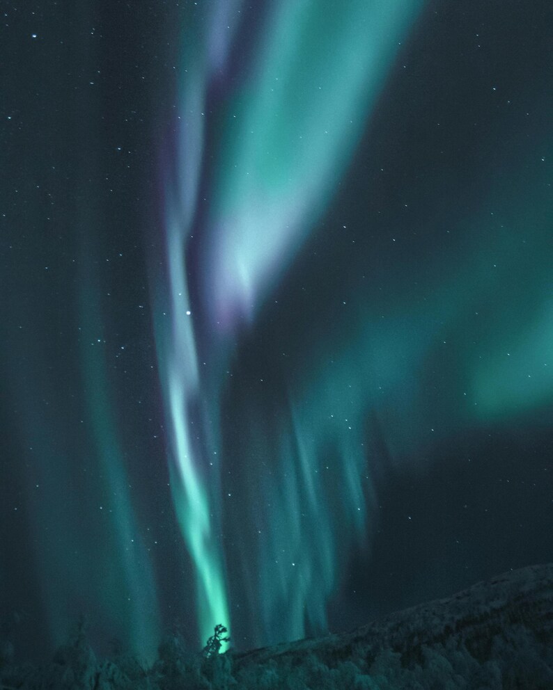 May include: A photograph of the aurora borealis, showcasing vibrant green and blue light streaks across a dark, starry sky. The celestial display appears to dance and swirl, with hints of purple. A small, dark silhouette of a tree is visible at the bottom.