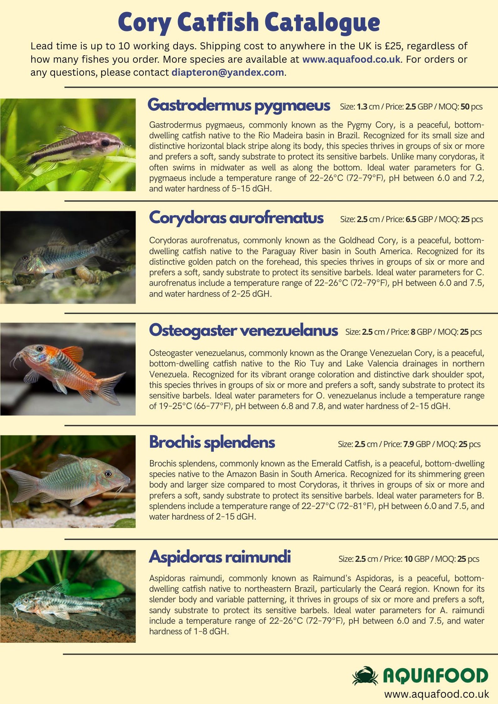 Cory Catfish Catalogue Template | Canva Editable Fish Stock List ...