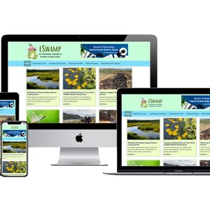 May include: A website displayed on multiple devices: a desktop computer, laptop, tablet, and smartphone. The website features a light green header with the text "ESWAMP" and a frog graphic. The content includes images and text about wetlands and wildlife.