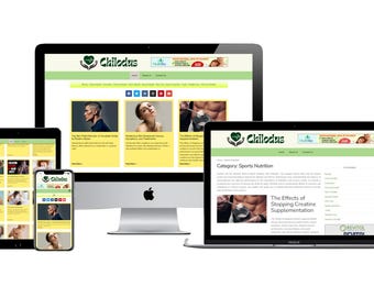 Health & Beauty Blog Website | WordPress Blog for Sale | Demo – yurif19.sg-host.com