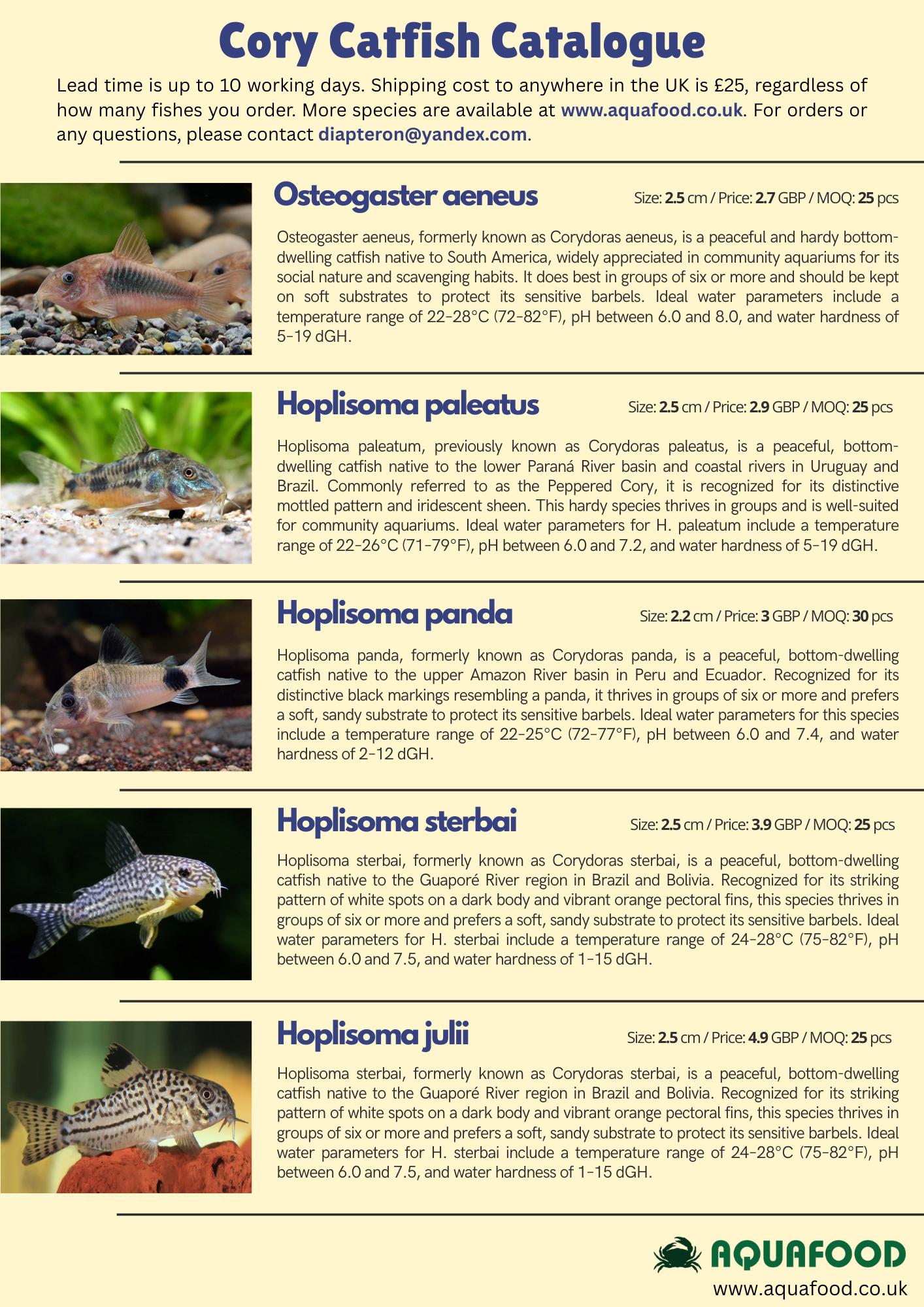 Cory Catfish Catalogue Template | Canva Editable Fish Stock List ...