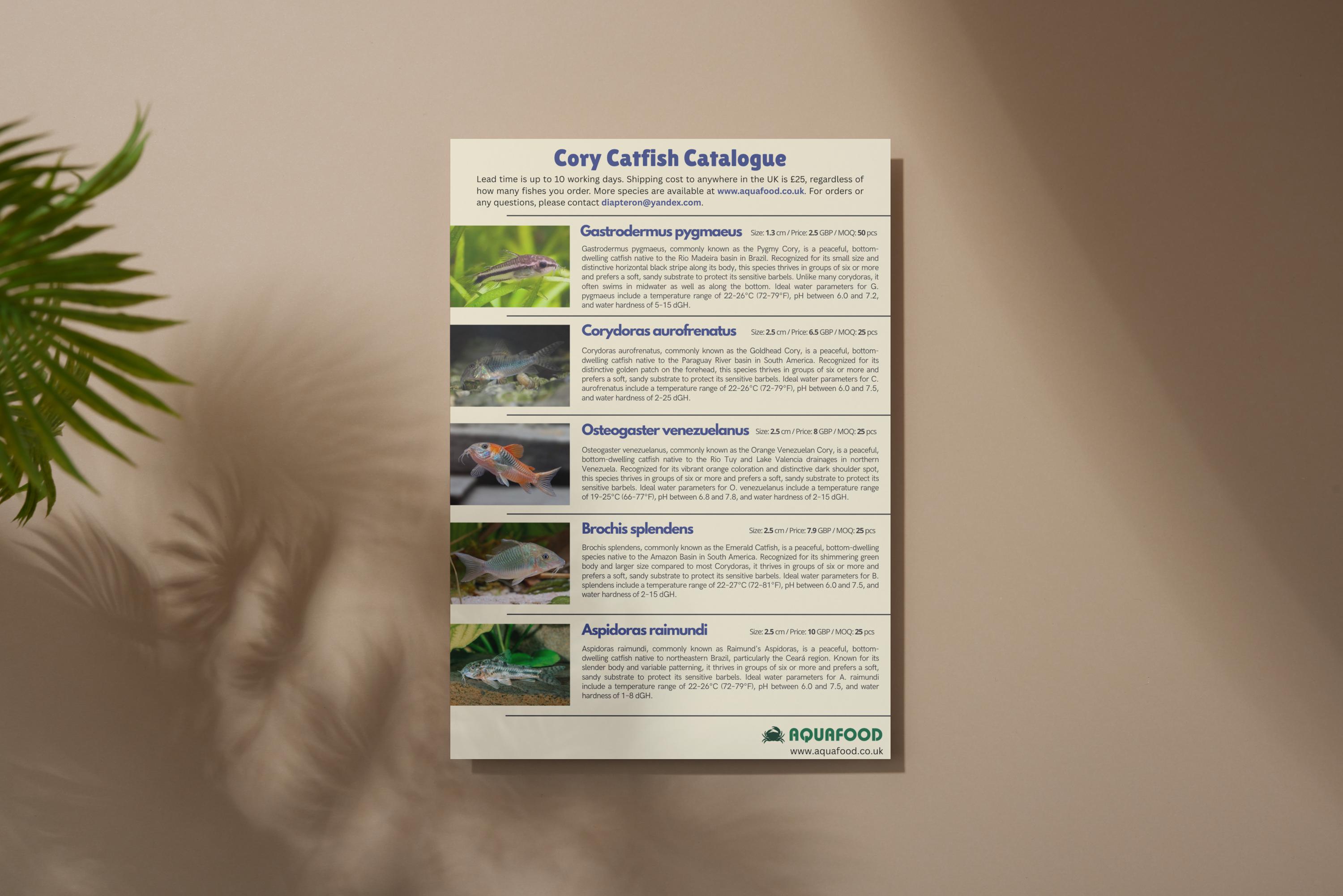 Cory Catfish Catalogue Template Canva Editable Fish Stock List
