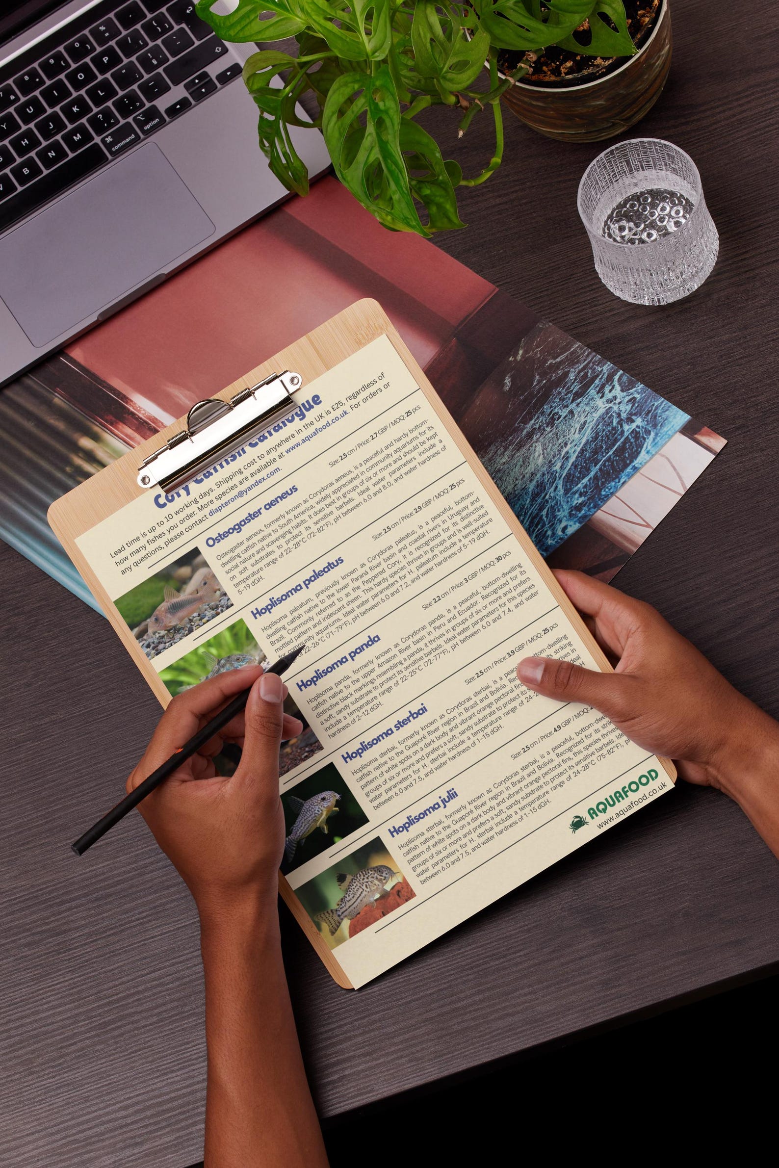 Cory Catfish Catalogue Template | Canva Editable Fish Stock List ...
