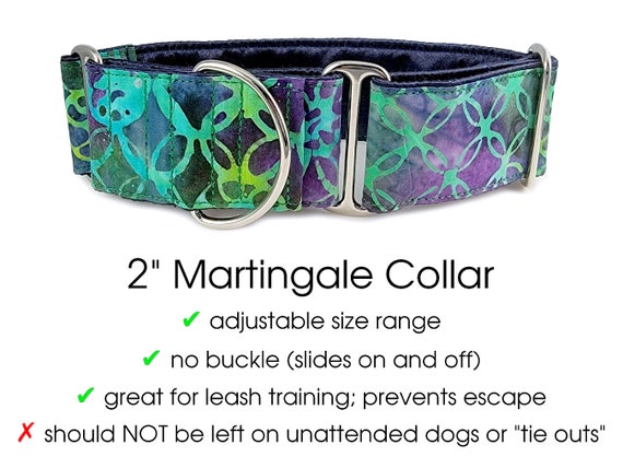 Psychedelic dog collar 2025