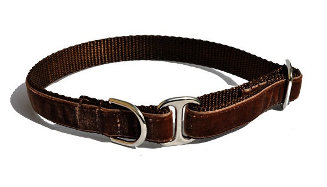 Brown Velvet Tag Collar Velvet Dog Collar, Greyhound Tag Collar, Dog ID