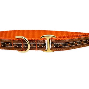 Copper Gemstones on Orange - Handmade Dog Tag Collar, Greyhound Tag Collar, Dog ID Tag Collar, House Collar, Dog Collar - 3/4 Inch Wide