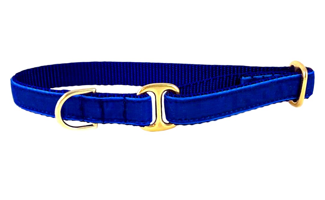 Royal Blue Velvet Tag Collar Velvet Dog Collar, Greyhound Tag Collar
