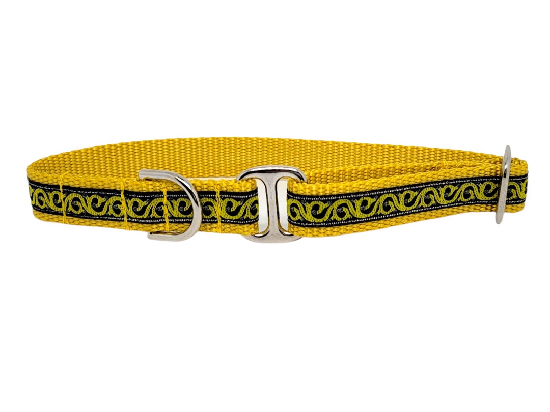 Yellow & Black Scroll Tag Collar, Greyhound Tag Collar, Dog ID Tag