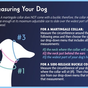 Info about measuring your dog for a martingale collar or a buckle dog collar
