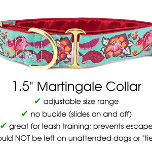 Chipmunk Martingale Dog Collar or Buckle Collar Adjustable for Medium to Large Dogs, Greyhounds, Whippets, Galgos, Poodles 1.5 Inch Wide image 2