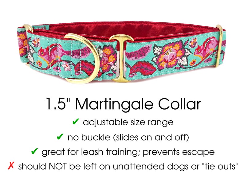 Chipmunk Martingale Dog Collar or Buckle Collar Adjustable for Medium to Large Dogs, Greyhounds, Whippets, Galgos, Poodles 1.5 Inch Wide image 2