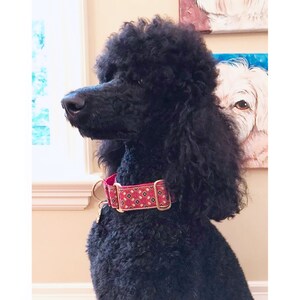 Black Standard Poodle Dog Wearing the Red & Gold Stratford Floral Martingale