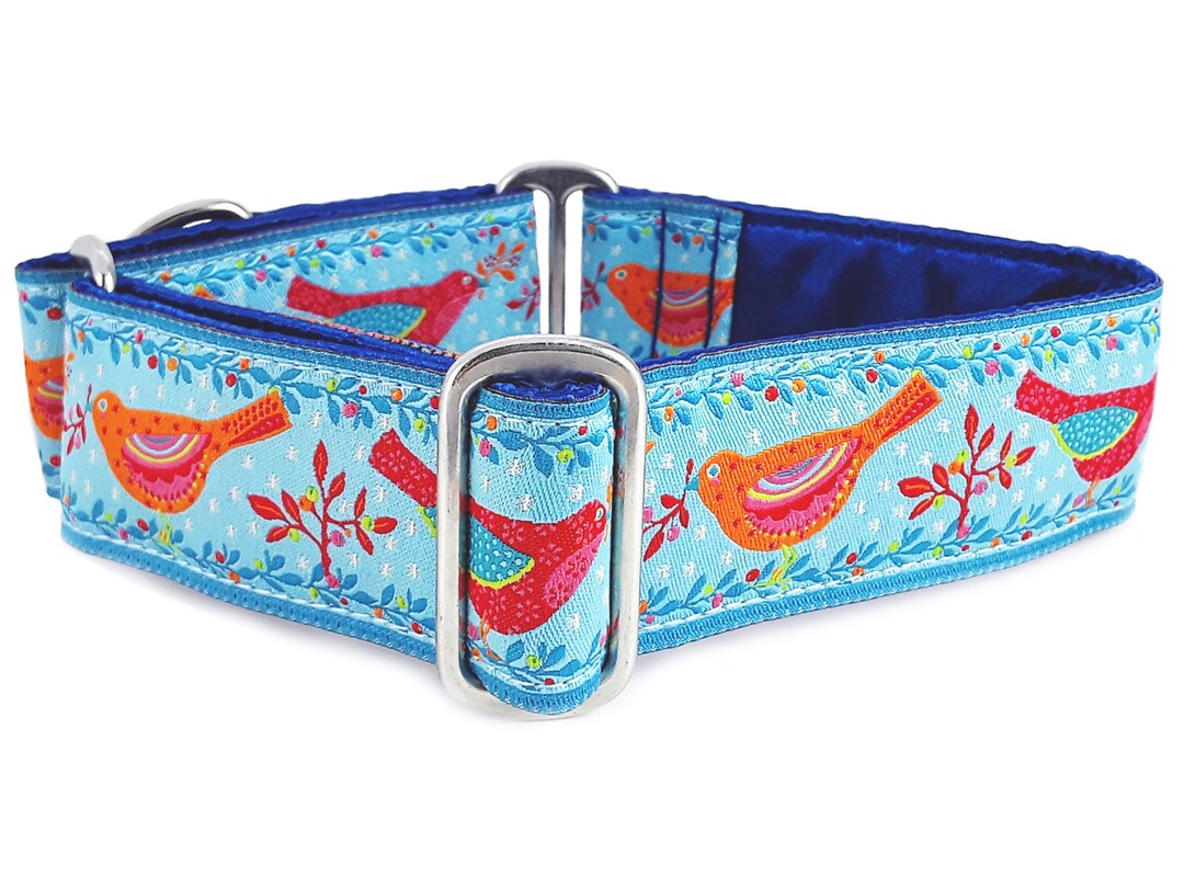 Cute Birds Martingale Dog Collar or Buckle Collar Adjustable for Medium