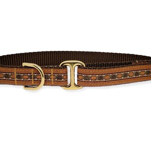 Brown Gemstones - Dog Tag Collar, Greyhound Tag Collar, Dog ID Tag Collar, House Collar, Handmade Dog Collar - 3/4 Inch Wide