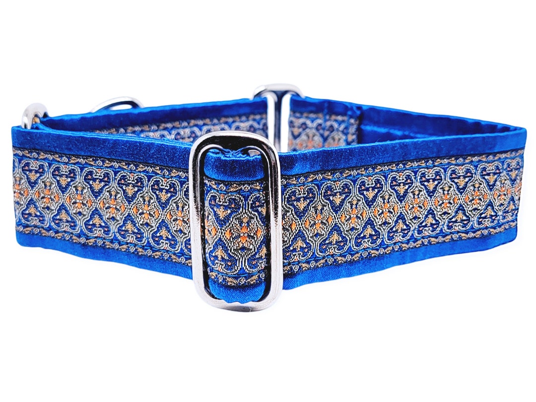 Blue & Gold Martingale Collar or Buckle Collar for Medium to Etsy
