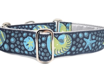 Seashells Martingale Collar or Buckle Dog Collar - Adjustable for Medium to Large Dogs, Greyhounds, Whippets, Galgos - 1.5 Inch Wide