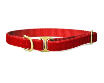 Red Velvet Tag Collar | Sighthound, Greyhound, Whippet