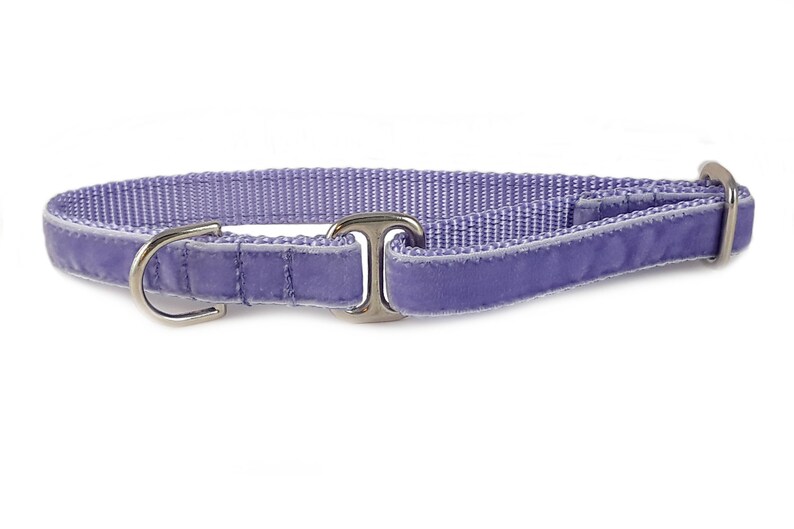 Lavender Velvet Tag Collar Velvet Dog Collar Greyhound Tag Etsy