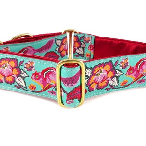 Chipmunk Martingale Dog Collar or Buckle Collar - Adjustable for Medium to Large Dogs, Greyhounds, Whippets, Galgos, Poodles - 1.5 Inch Wide