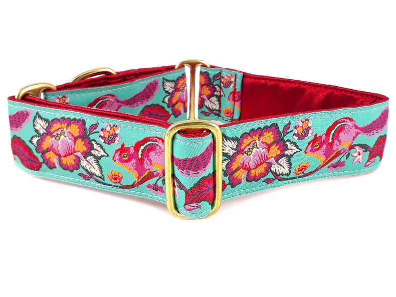 Chipmunk Martingale Dog Collar or Buckle Collar Adjustable for Medium to Large Dogs, Greyhounds, Whippets, Galgos, Poodles 1.5 Inch Wide image 1