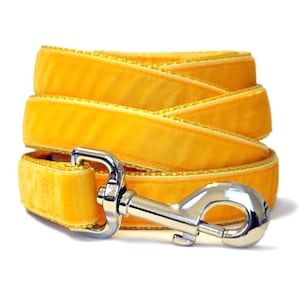 Yellow Gold (Goldenrod) Velvet Dog Leash by The Hound Haberdashery