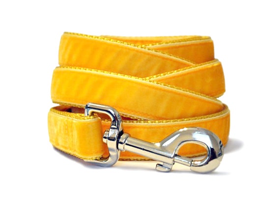Goldenrod Velvet Dog Leash | Yellow Gold Dog Lead | Dog Accessory, Gifts for Dog Lovers, Pet Owners | Handmade, Matching Leash | 1 Inch Wide