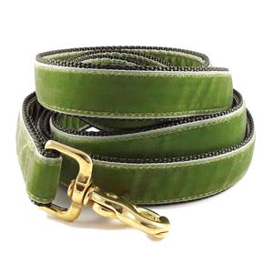 May include: A green velvet dog leash with a gold metal clasp. The leash is made of a soft, durable material and is perfect for everyday use.