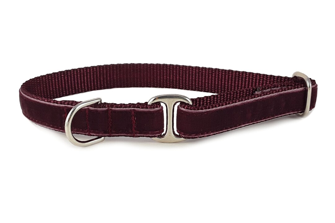 Burgundy Velvet Tag Collar Velvet Dog Collar Greyhound Tag Etsy
