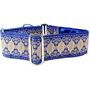 May include: A blue dog collar with a silver buckle and a gold and white patterned design.