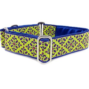May include: A lime green dog collar with a blue trim and a repeating floral pattern. The collar has silver metal hardware.