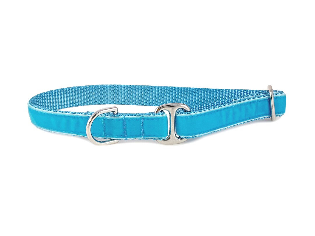 Turquoise Velvet Tag Collars for Everyday Use House Collar to Keep Dog