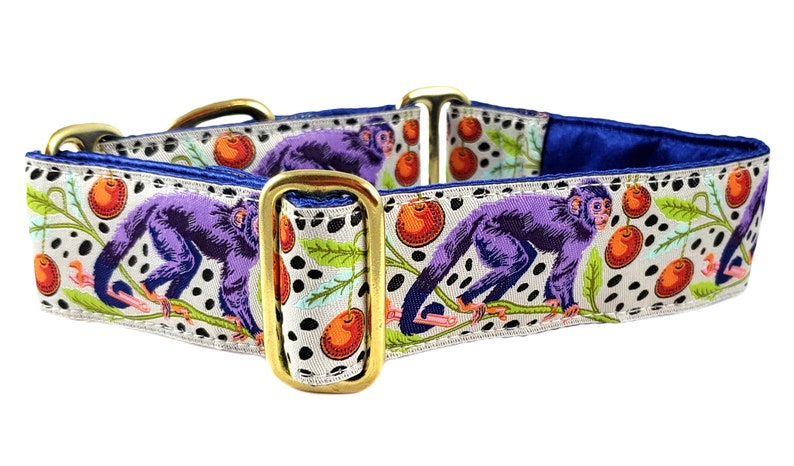 dog collar buckles for sale