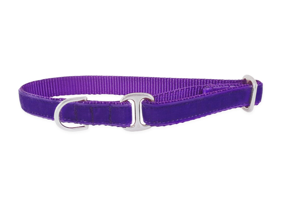Purple Velvet Tag Collars for Everyday Use House Collar to Keep Dog