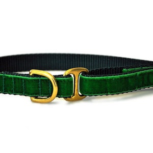 Green Velvet Tag Collar - Velvet Dog Collar, Greyhound Tag Collar, Dog ID Tag Holder, House Collar