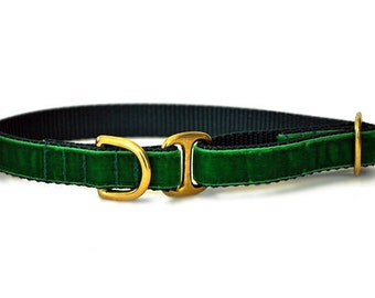 Green Velvet Tag Collar - Velvet Dog Collar, Greyhound Tag Collar, Dog ID Tag Holder, House Collar