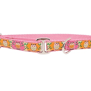 Pink & Orange Owls Tag Collar - Handmade Dog Tag Collar, Greyhound Tag Collar, Dog ID Collar, House Collar - 3/4 Inch Wide