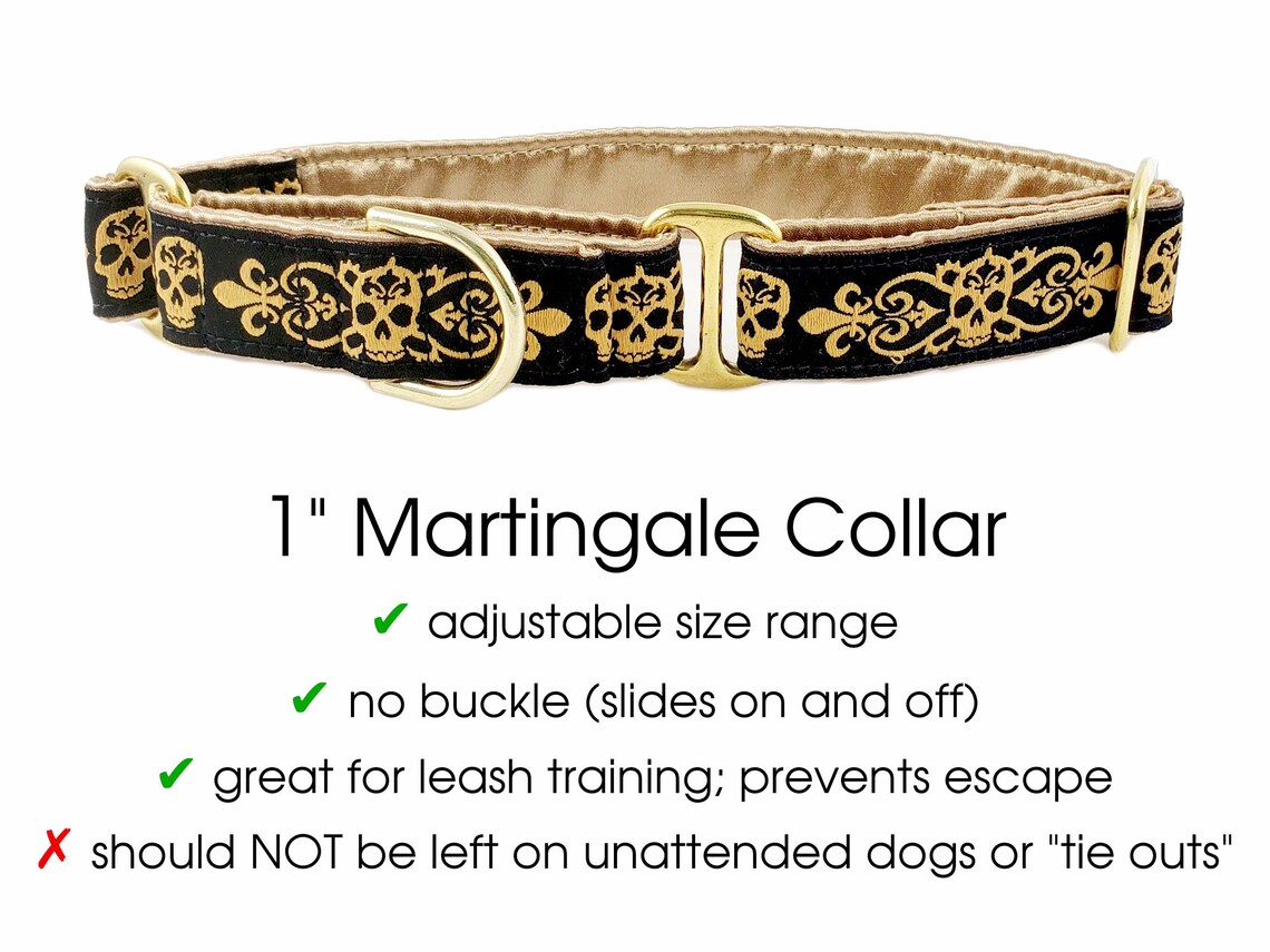 Danger Dog Gold Skulls Martingale Dog Collar or Buckle Dog Etsy