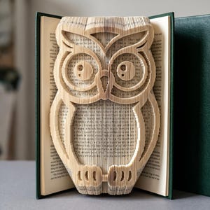 Può includere: Una scultura di libro a forma di gufo creata piegando con precisione le pagine di un libro con copertina rigida. Il design del gufo è formato dai bordi della carta color crema, mentre le copertine verde scuro rimangono visibili ai lati.