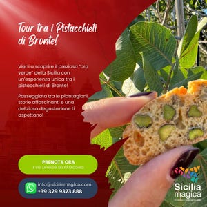 Grafica Personalizzabile per Instagram Facebook, perfetta per i tuoi Social